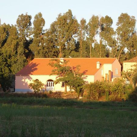 Casal Da Juge Torres Novas Ngoại thất bức ảnh