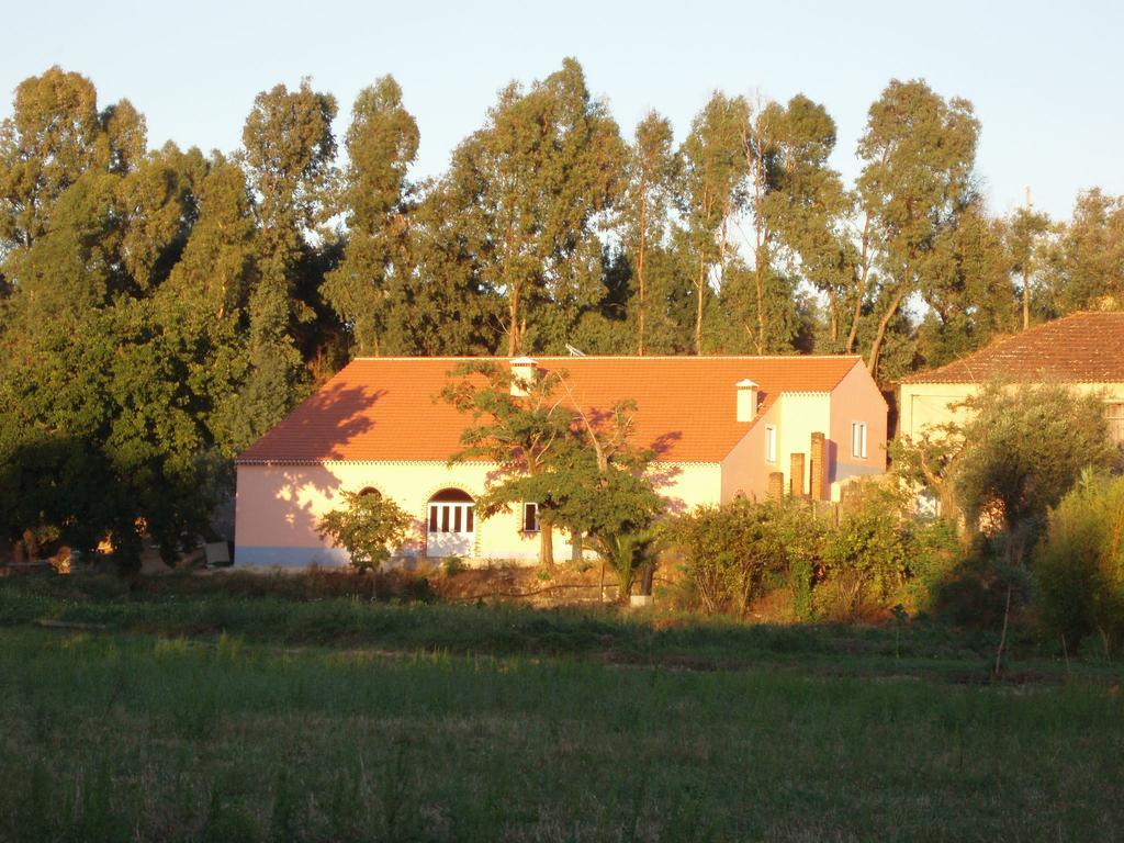 Casal Da Juge Torres Novas Ngoại thất bức ảnh