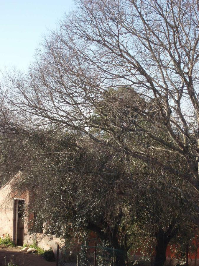 Casal Da Juge Torres Novas Ngoại thất bức ảnh